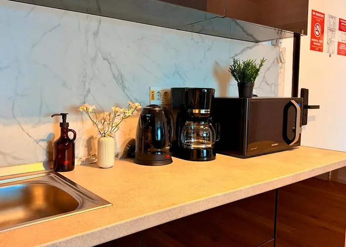Sky Terrace - Luxury 2br In Aviatiei Apartment